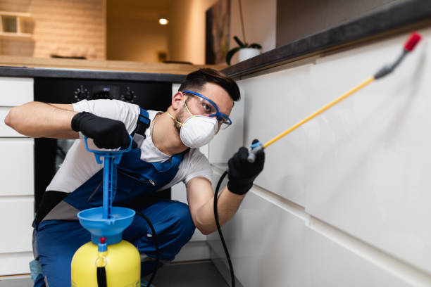Best Bed Bug Extermination  in Bronx, NY