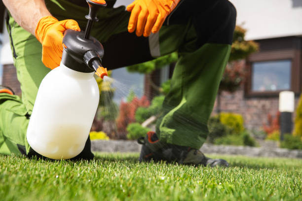 Best Mosquito Control Services  in Bronx, NY