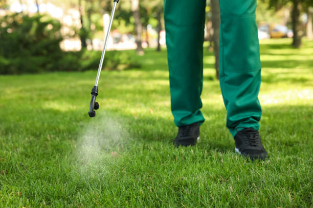 Best Ant Control Services  in Bronx, NY