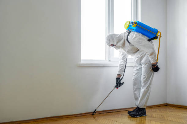 Best Pest Removal Services  in Bronx, NY