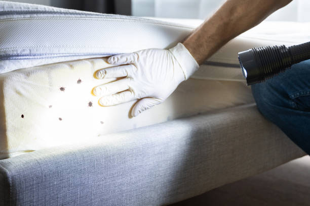 Wildlife Control Services in Bronx, NY