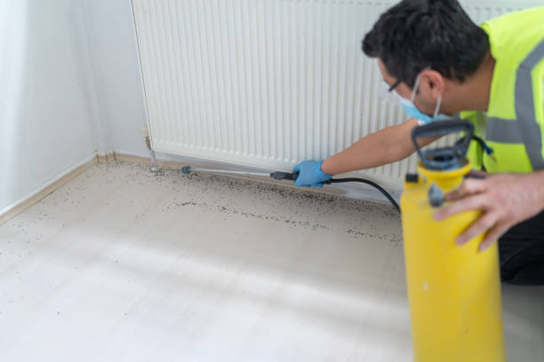 Best Pest Removal Services  in Bronx, NY