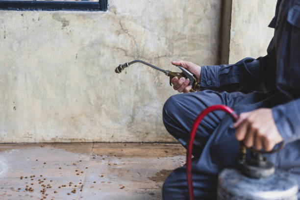 Best Exterminator Services  in Bronx, NY